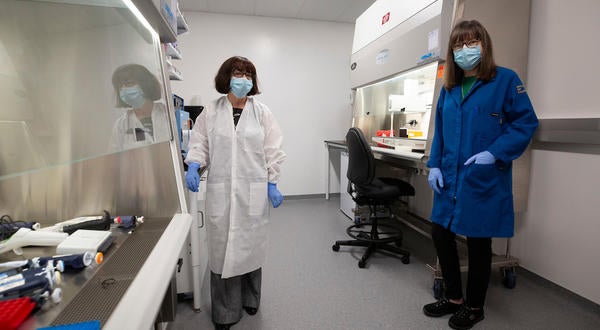 Dr. Isgouhi Kaloshian and Dr. Katherine Borkovich in COVID-19 Lab (c) UCR